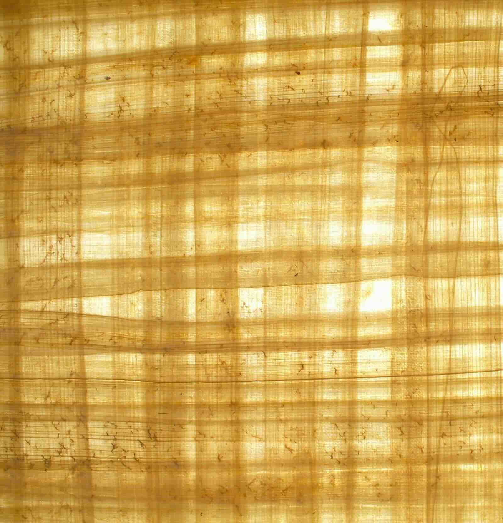 Une feuille de papier papyrus vierge